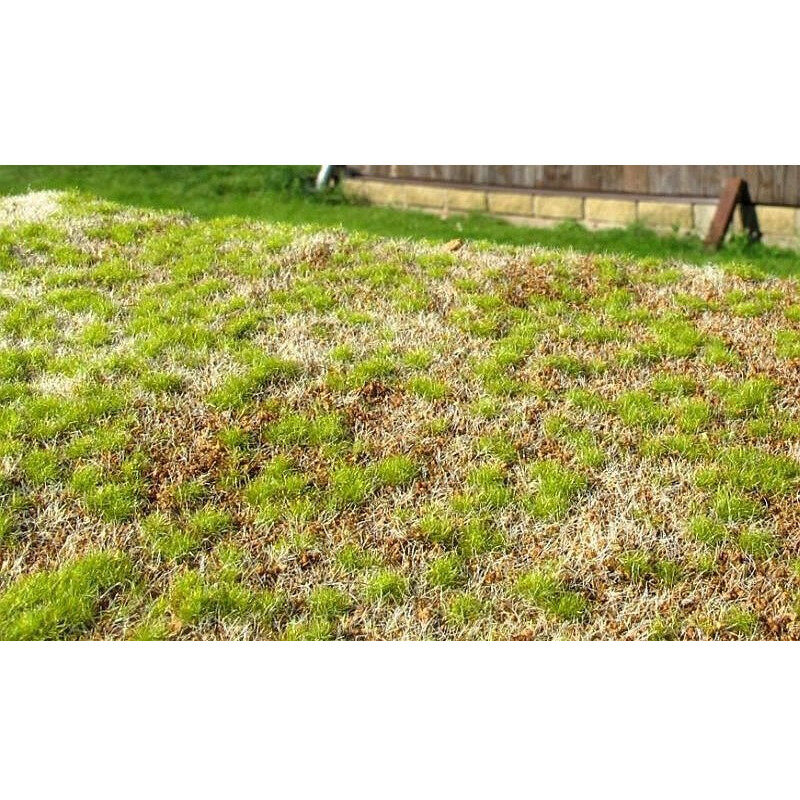 AMMO MIG Grass Mats Spring Steppe (8353)