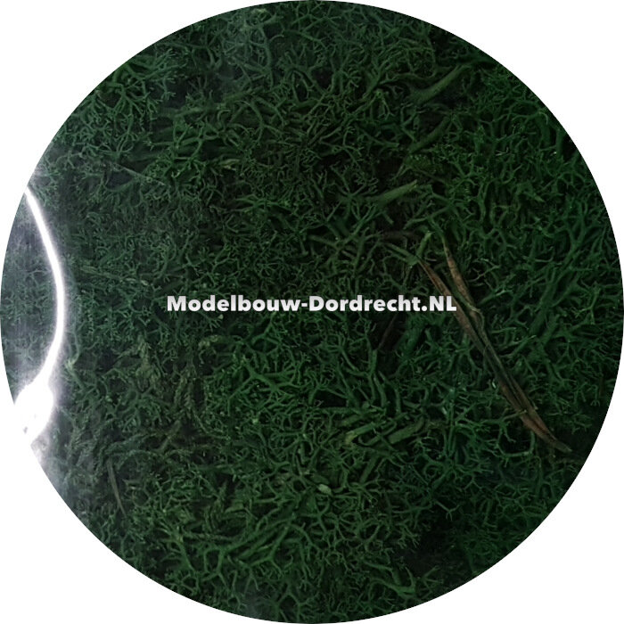 Berka Mos: Donker Groen
