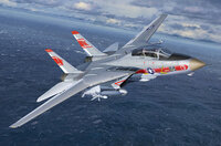 Revell 03782 Grumman F-14A Tomcat 1/144