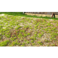 AMMO MIG Grass Mats Spring Steppe (8353)
