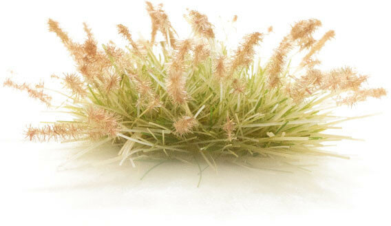 Woodland Peel 'n' Plant Tufts Brown Seed #G6631