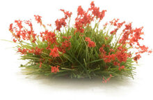 Woodland Peel &#039;n&#039; Plant Tufts Red Flowers #G6629