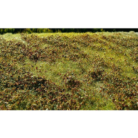 AMMO Small Bushes Autumn