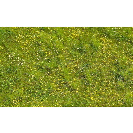 AMMO Wild Meadow Ground